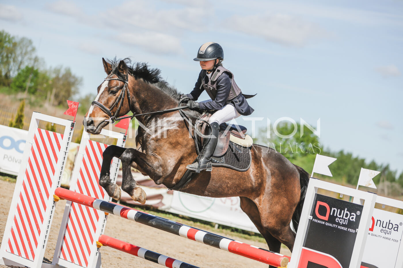 Gramina_Kevad_2026_90_220