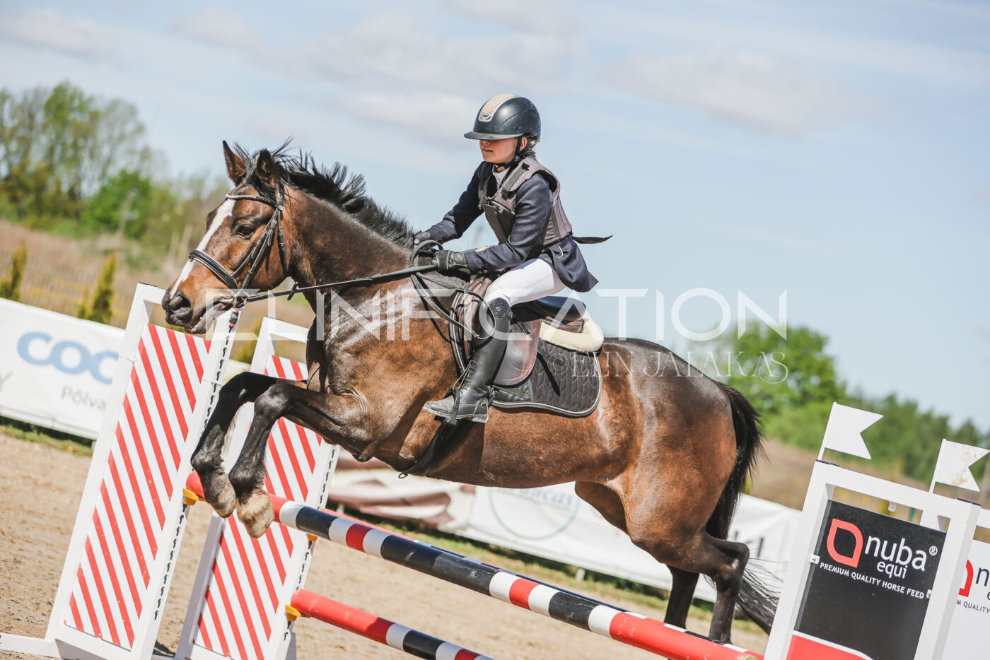 Gramina_Kevad_2026_90_221