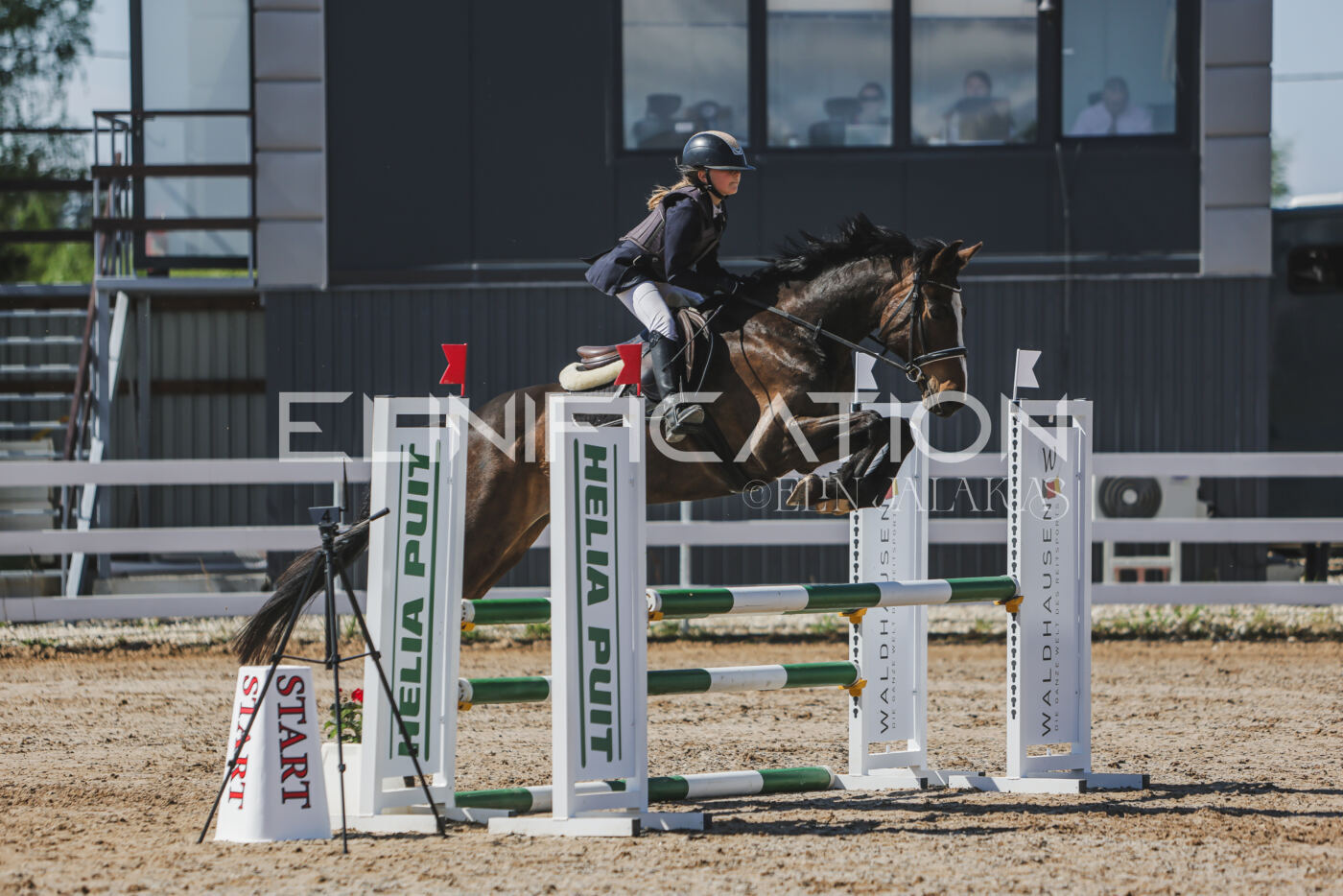 Gramina_Kevad_2026_90_223