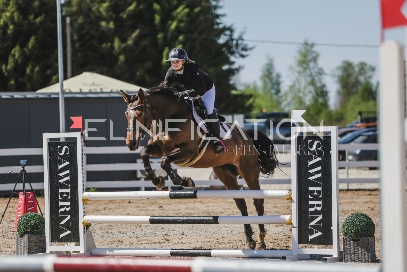 Gramina_Kevad_2026_90_234