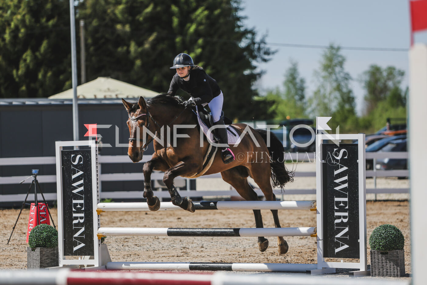 Gramina_Kevad_2026_90_235