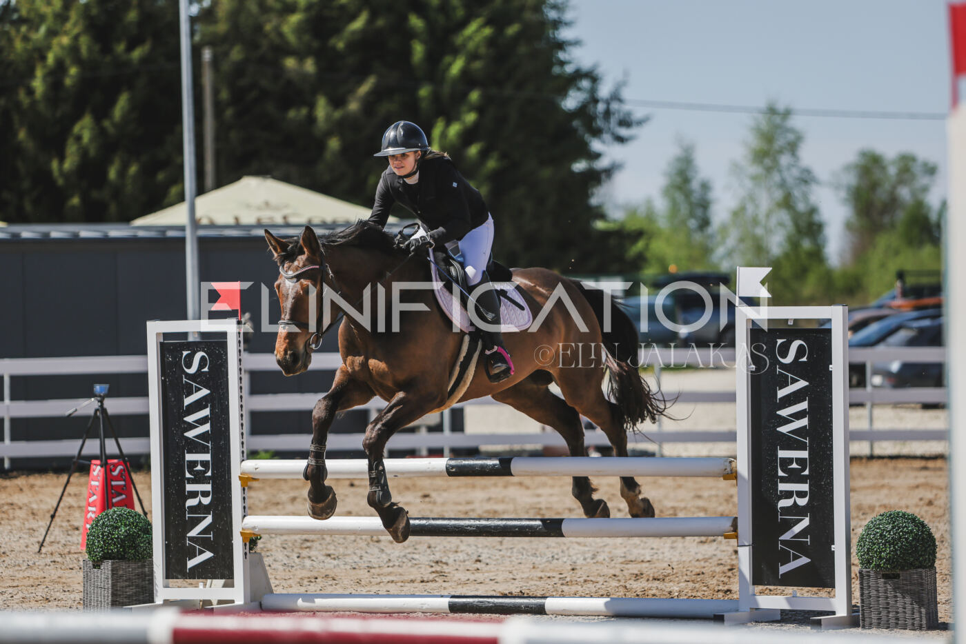 Gramina_Kevad_2026_90_236
