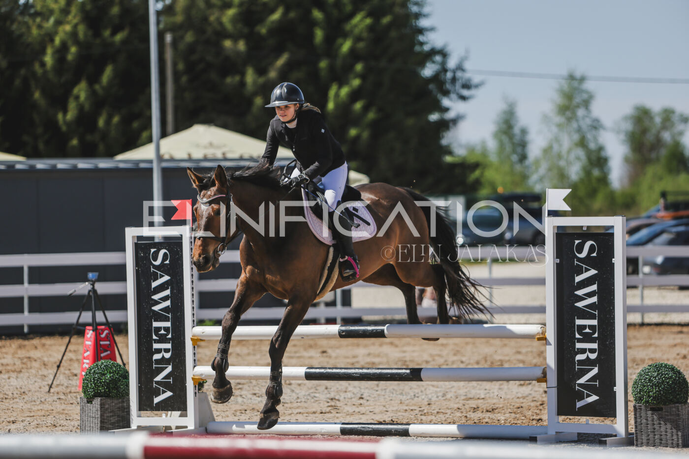 Gramina_Kevad_2026_90_237