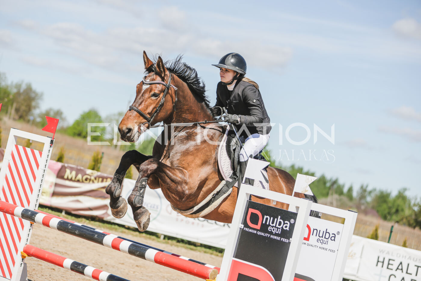 Gramina_Kevad_2026_90_238