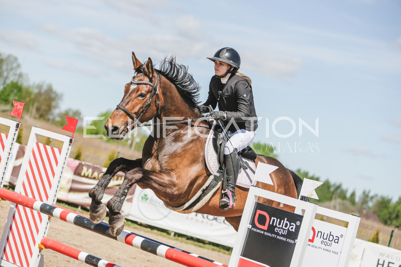 Gramina_Kevad_2026_90_239