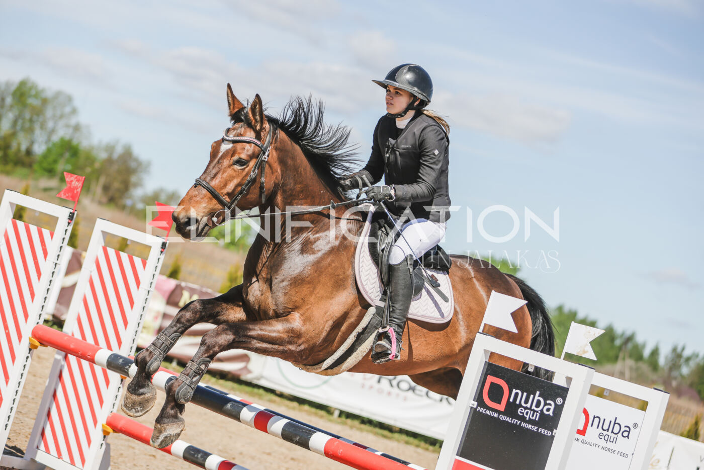 Gramina_Kevad_2026_90_240