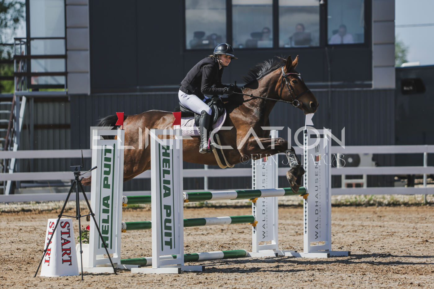 Gramina_Kevad_2026_90_243
