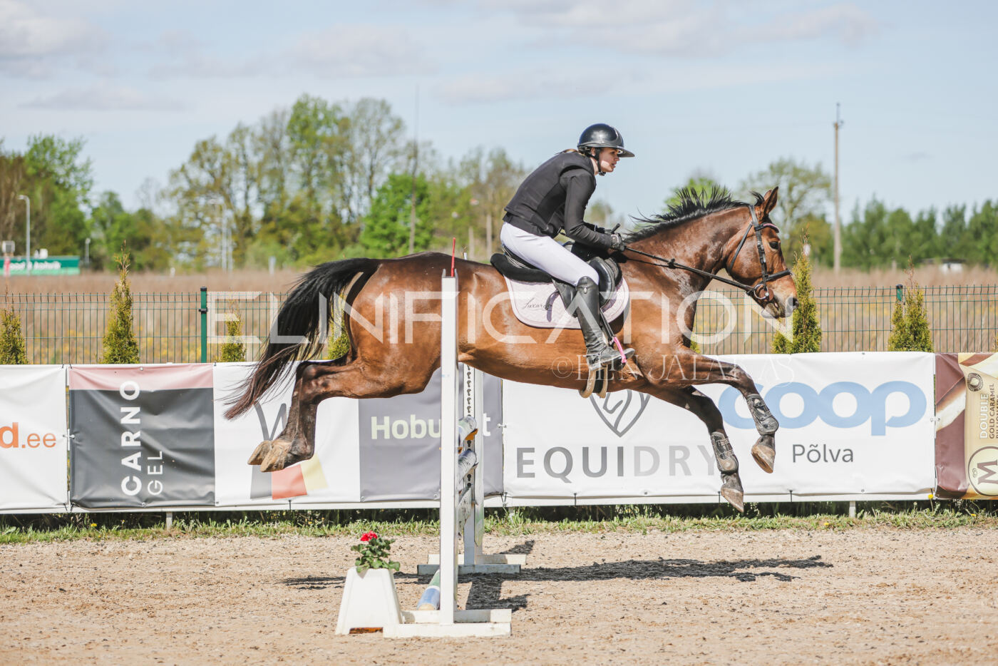Gramina_Kevad_2026_90_248