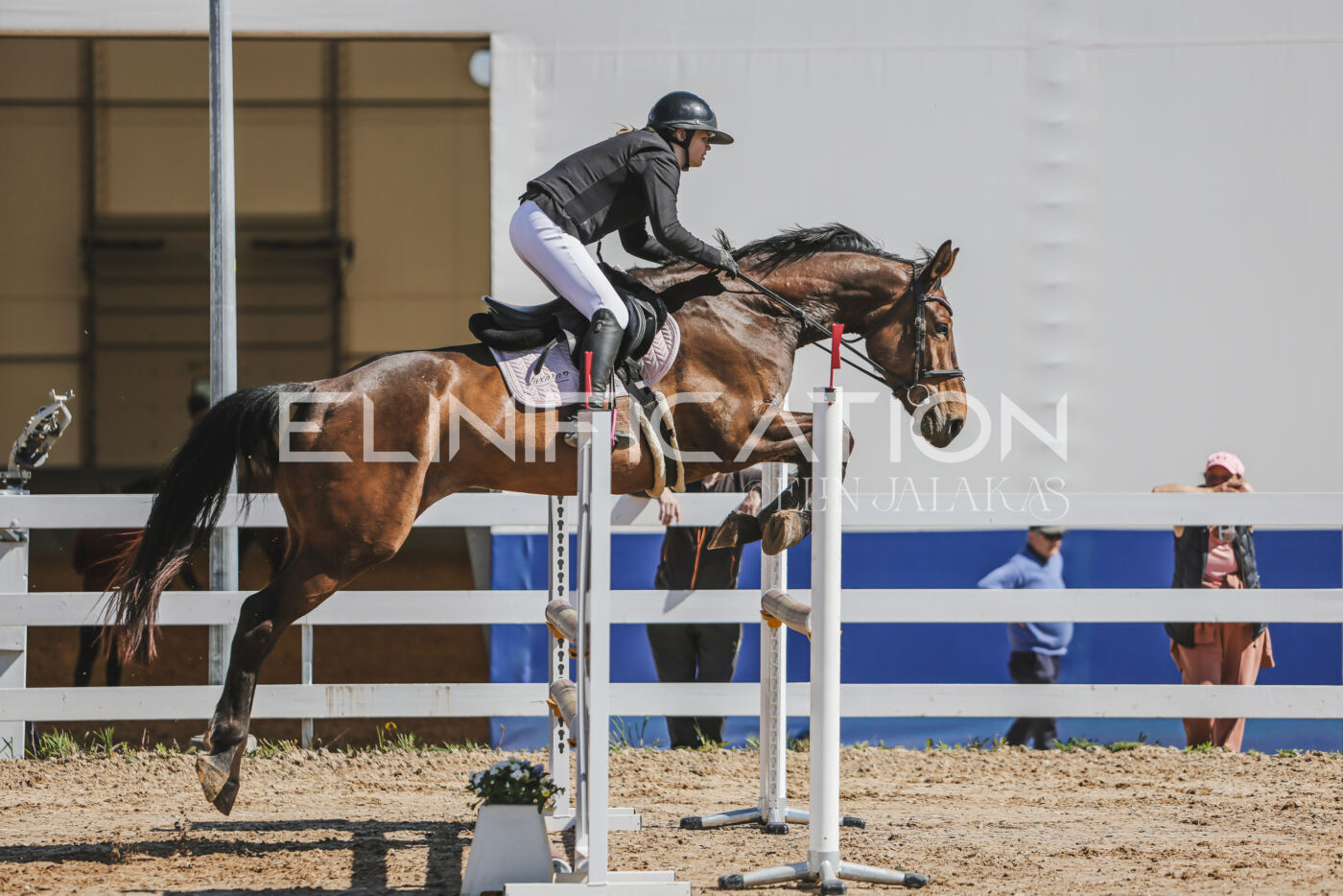 Gramina_Kevad_2026_90_249