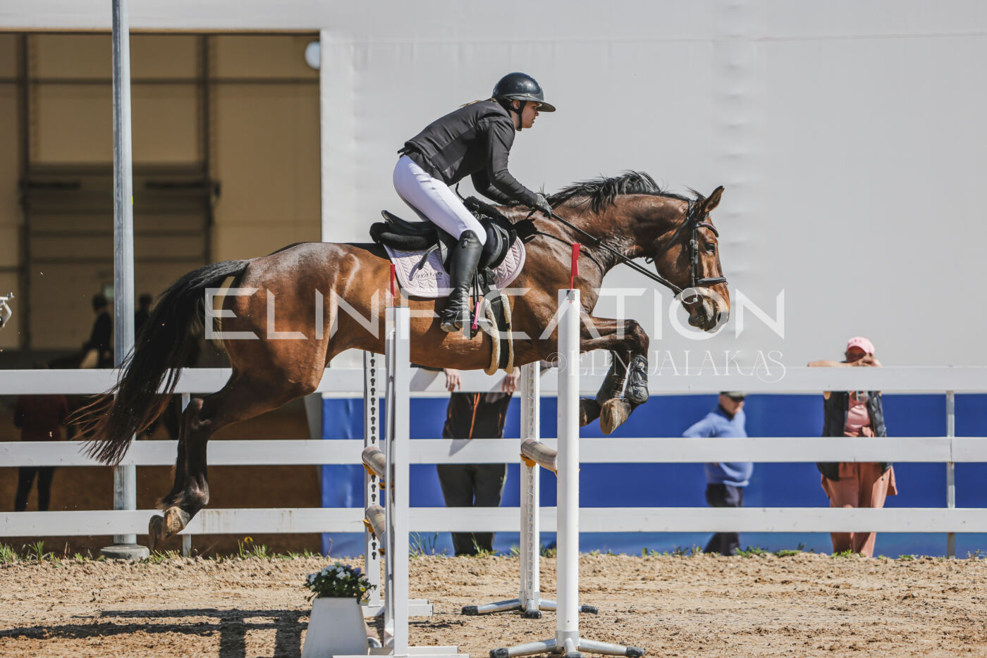 Gramina_Kevad_2026_90_250