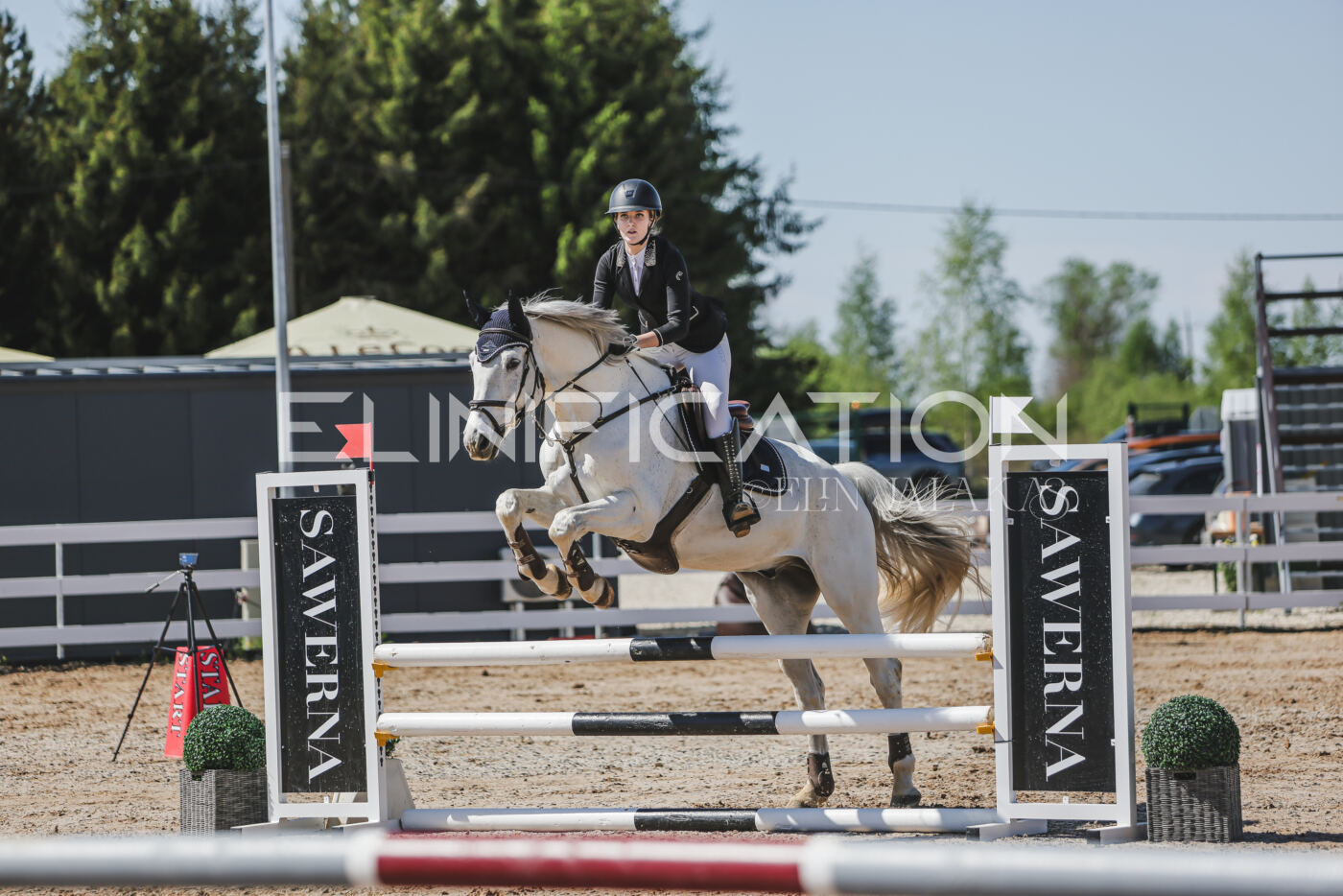 Gramina_Kevad_2026_90_254