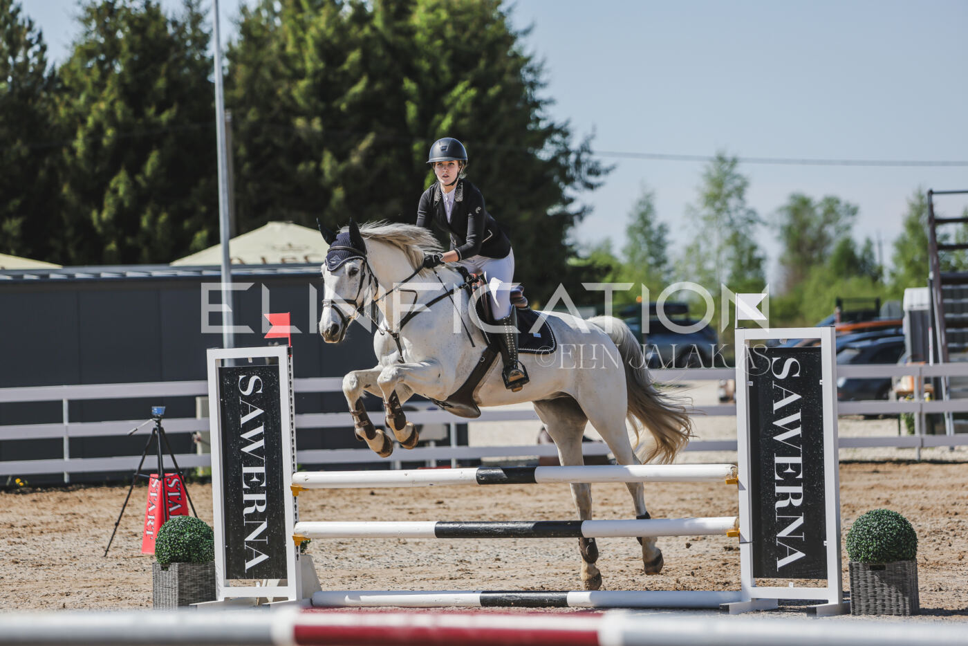 Gramina_Kevad_2026_90_255
