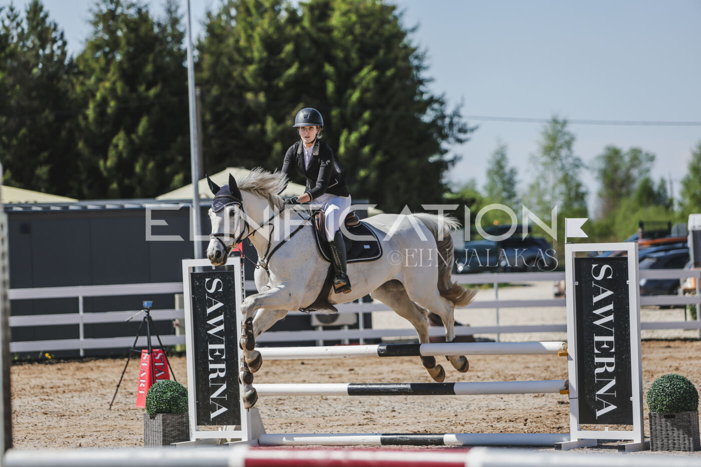 Gramina_Kevad_2026_90_257