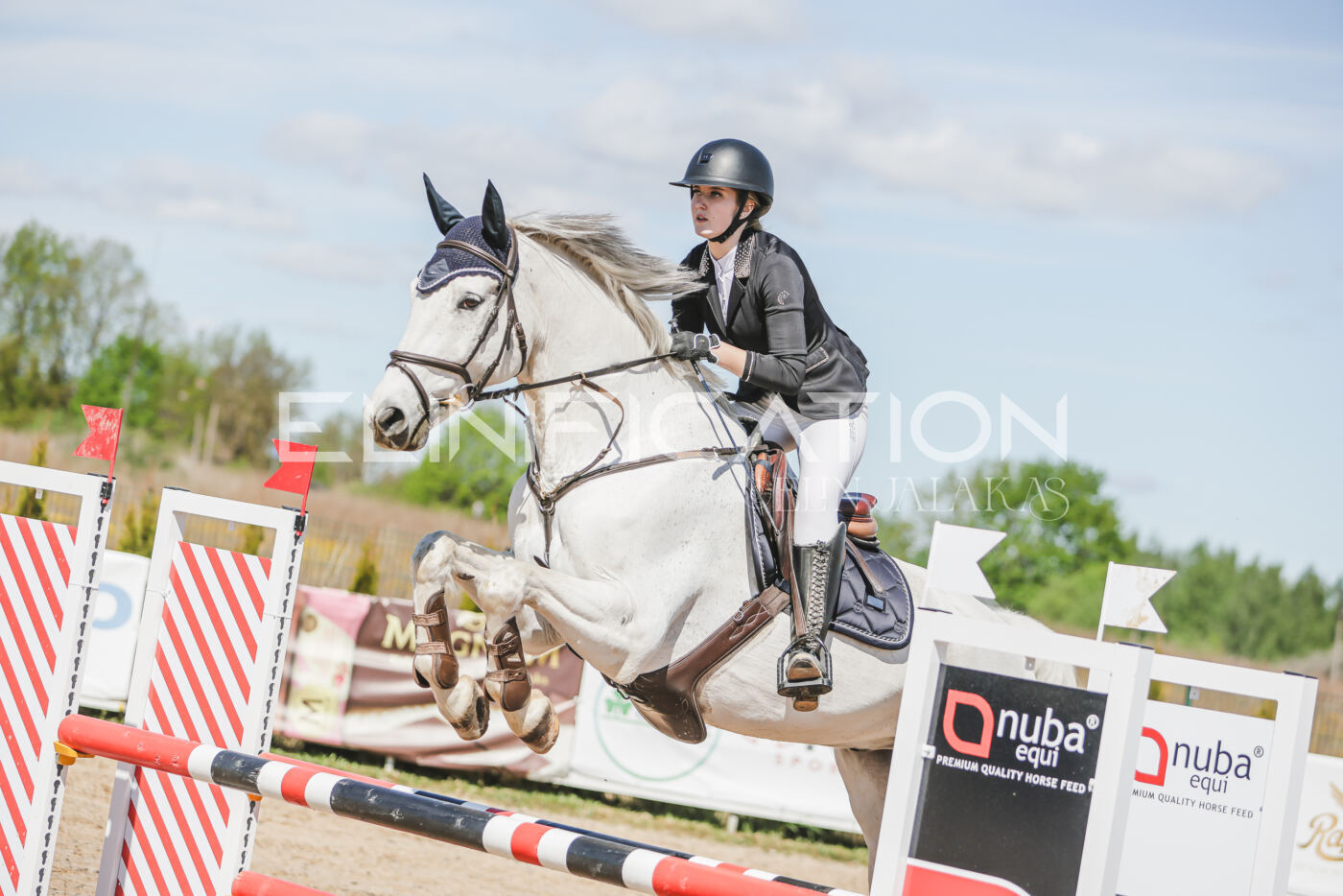 Gramina_Kevad_2026_90_258
