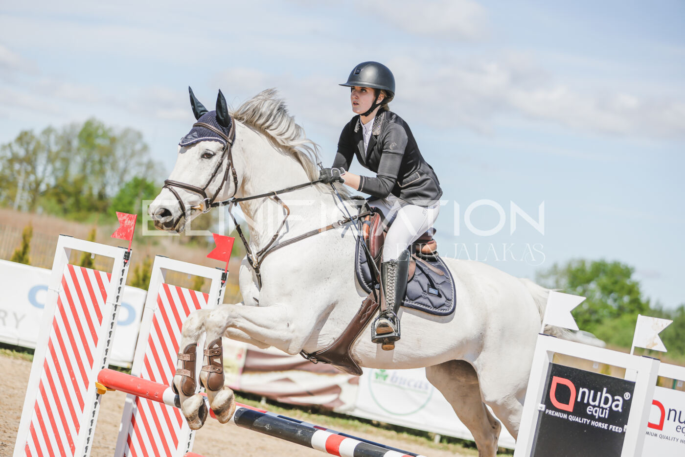 Gramina_Kevad_2026_90_260