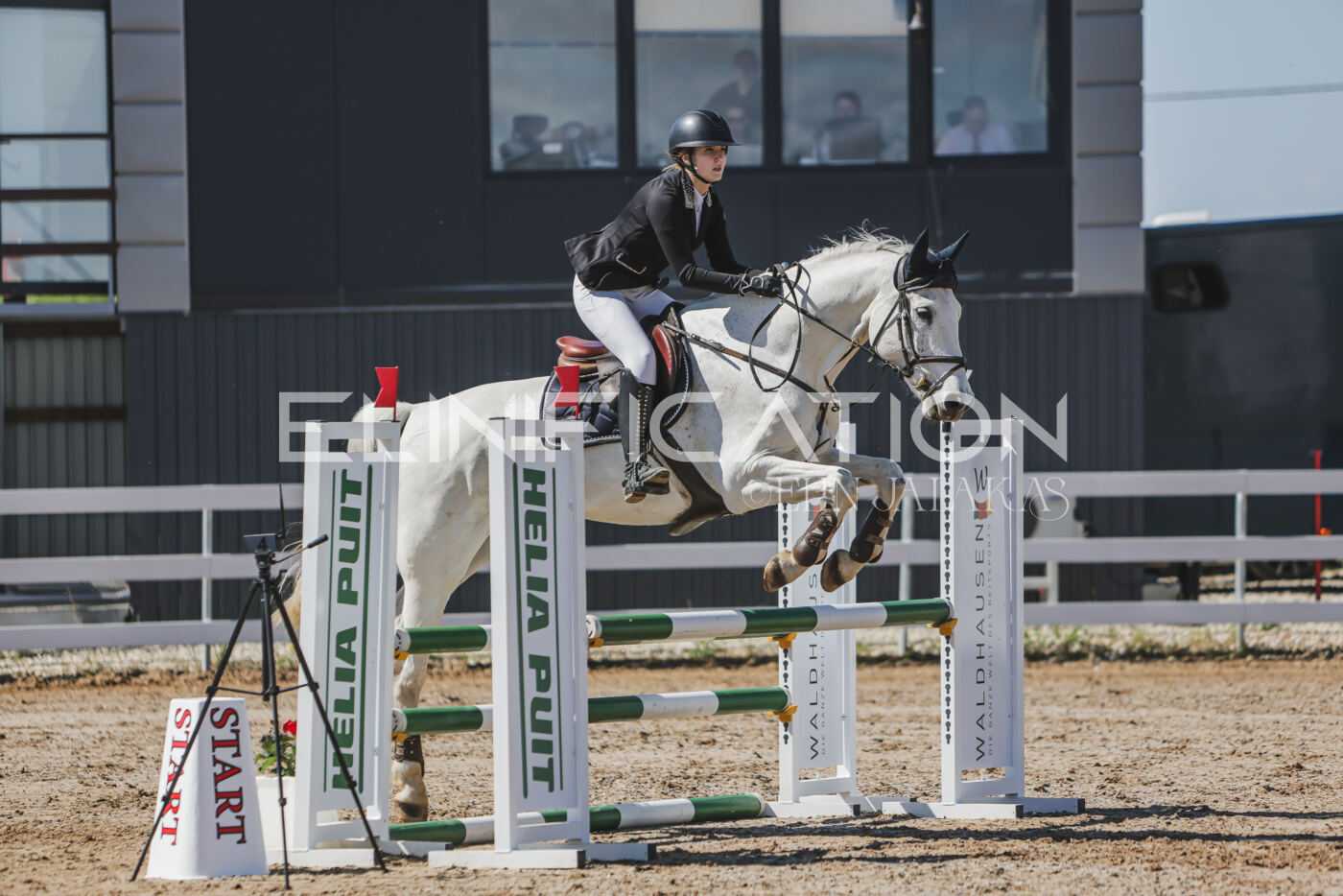 Gramina_Kevad_2026_90_261