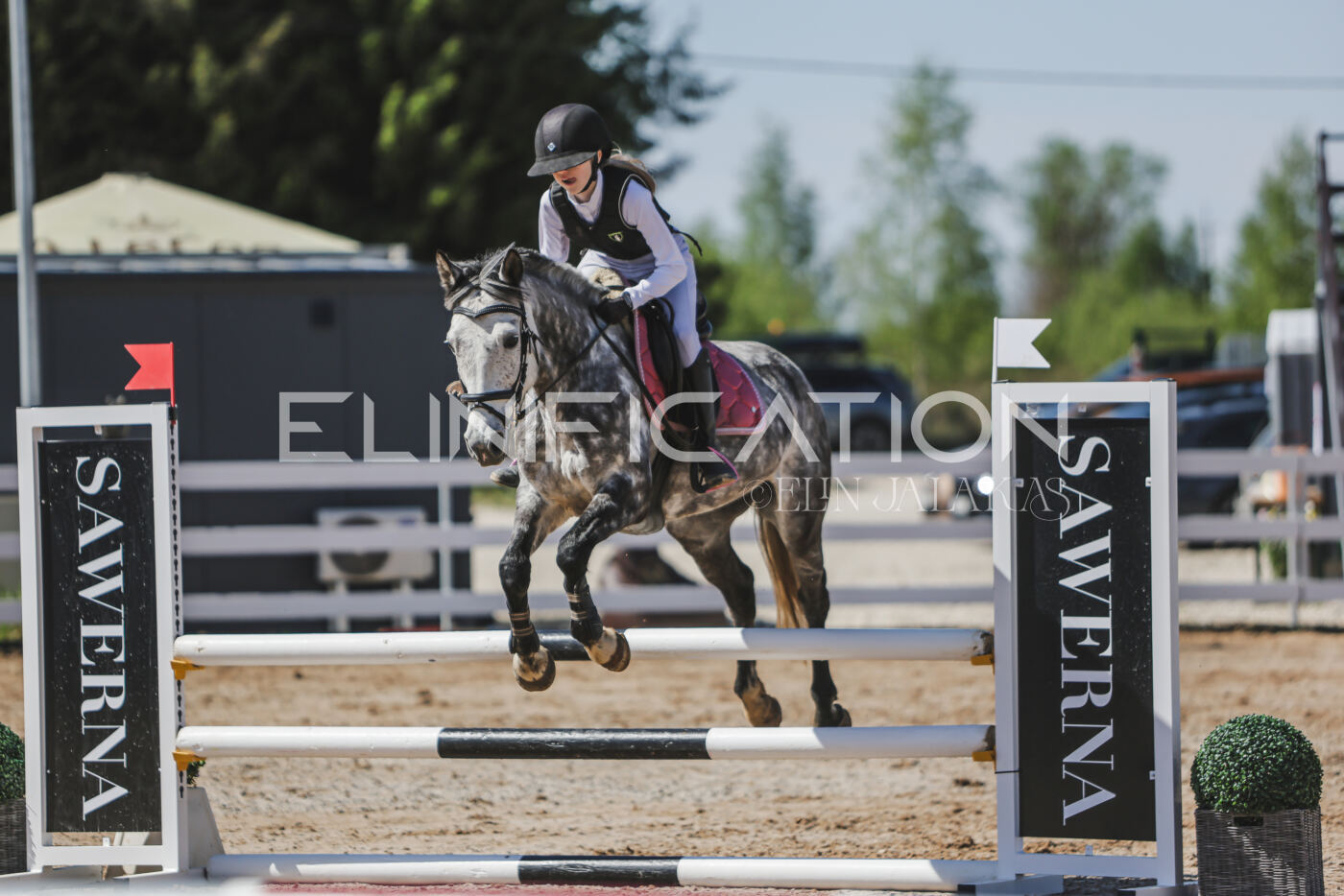 Gramina_Kevad_2026_90_273