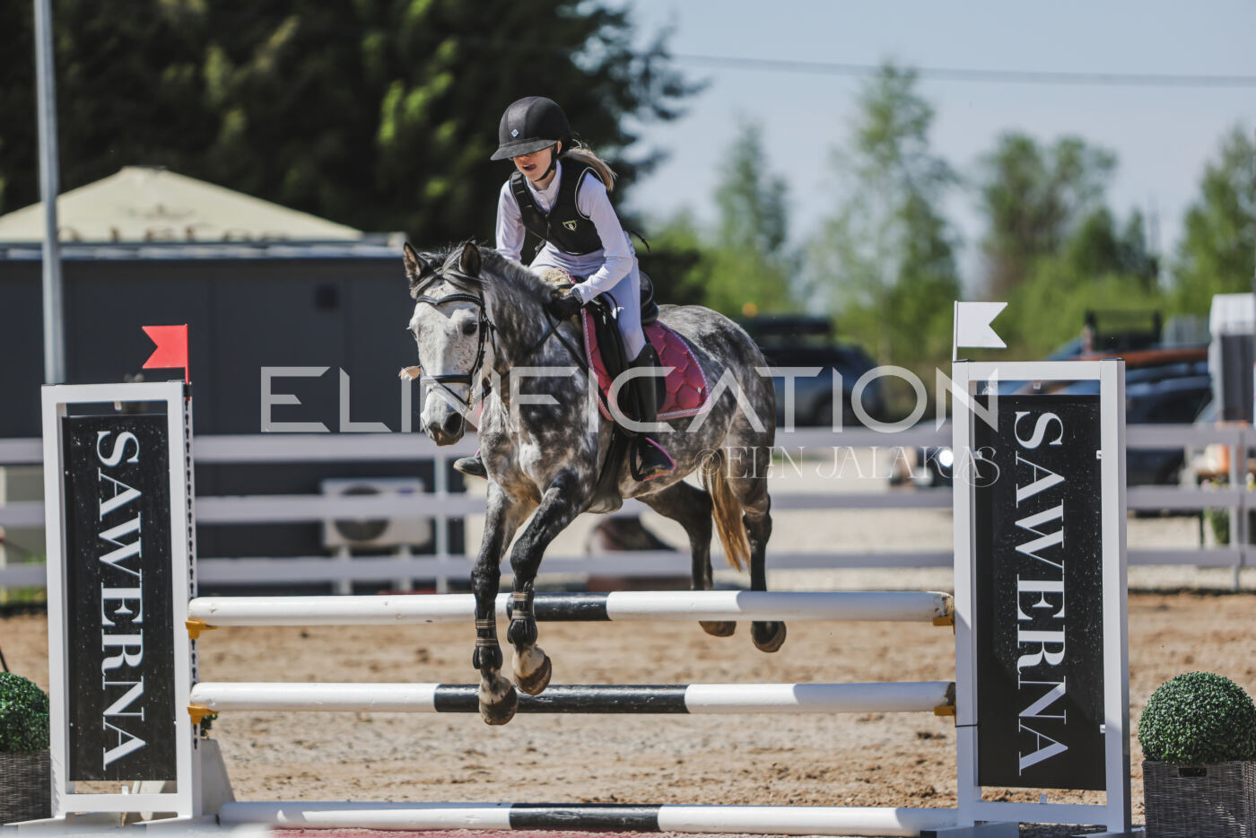 Gramina_Kevad_2026_90_274