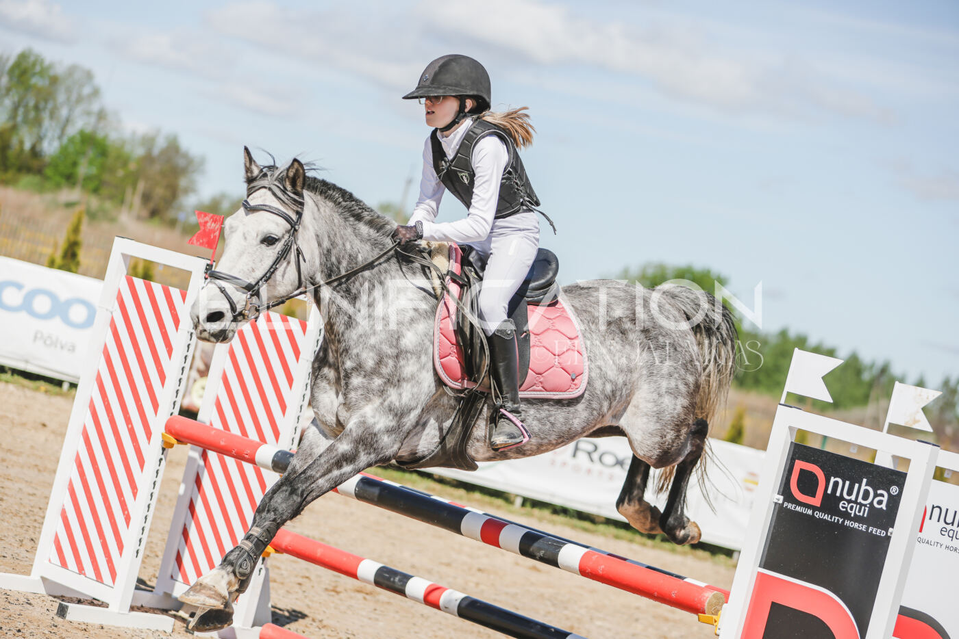 Gramina_Kevad_2026_90_279
