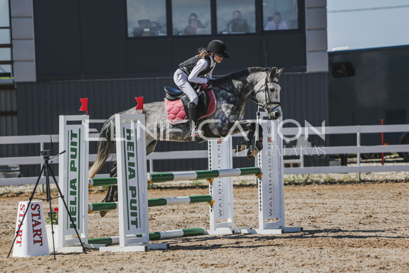 Gramina_Kevad_2026_90_281