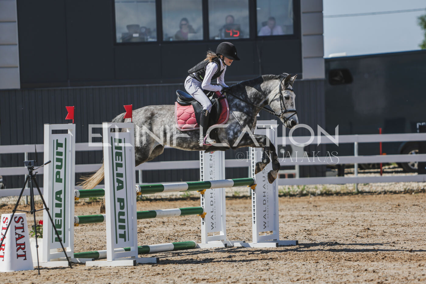 Gramina_Kevad_2026_90_282