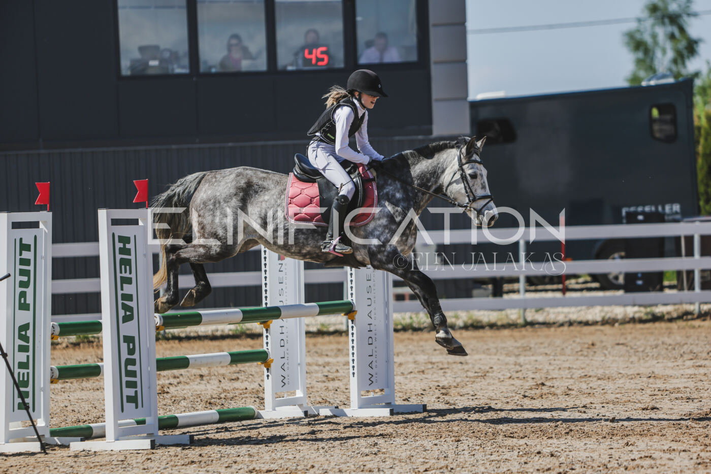 Gramina_Kevad_2026_90_284