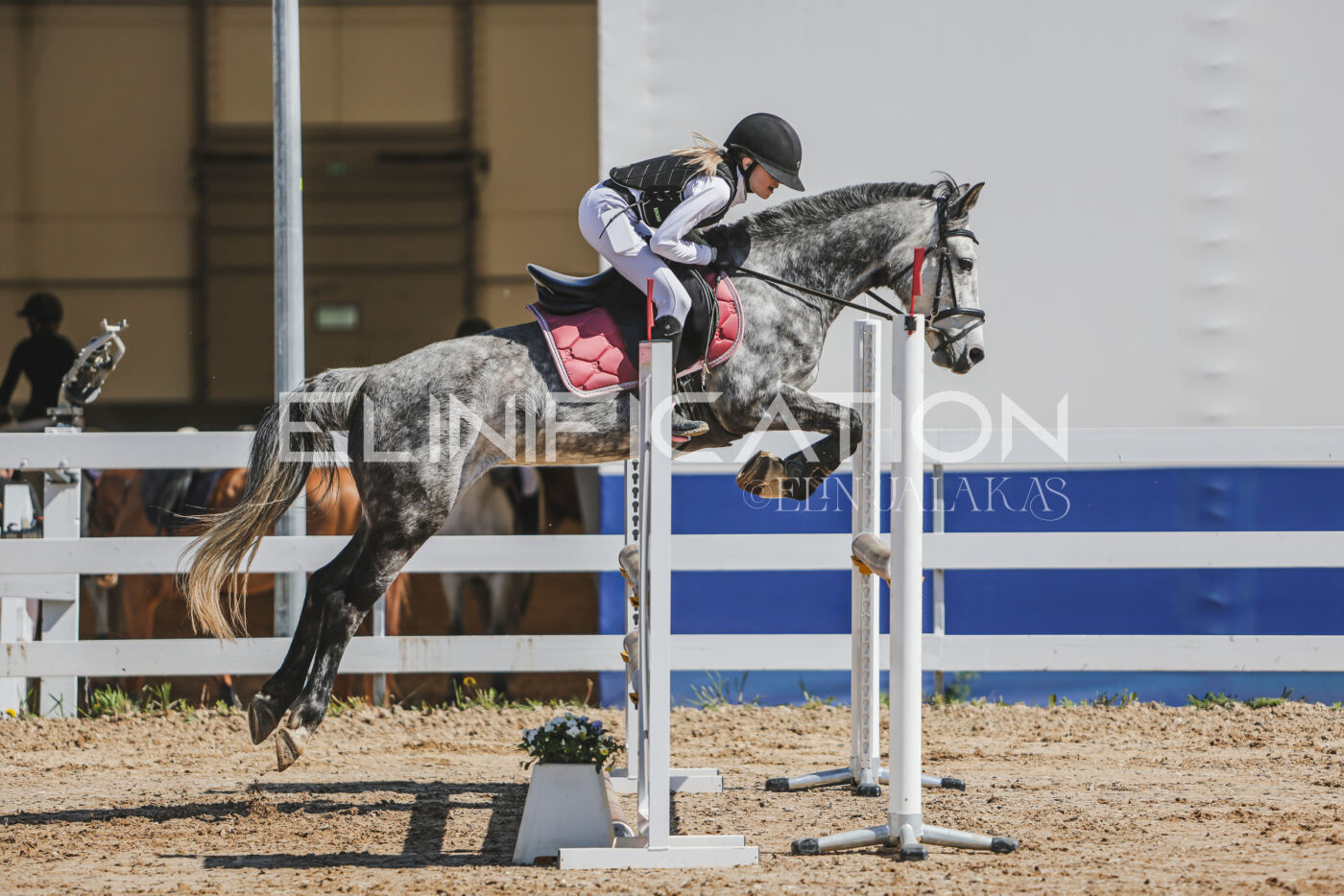 Gramina_Kevad_2026_90_285