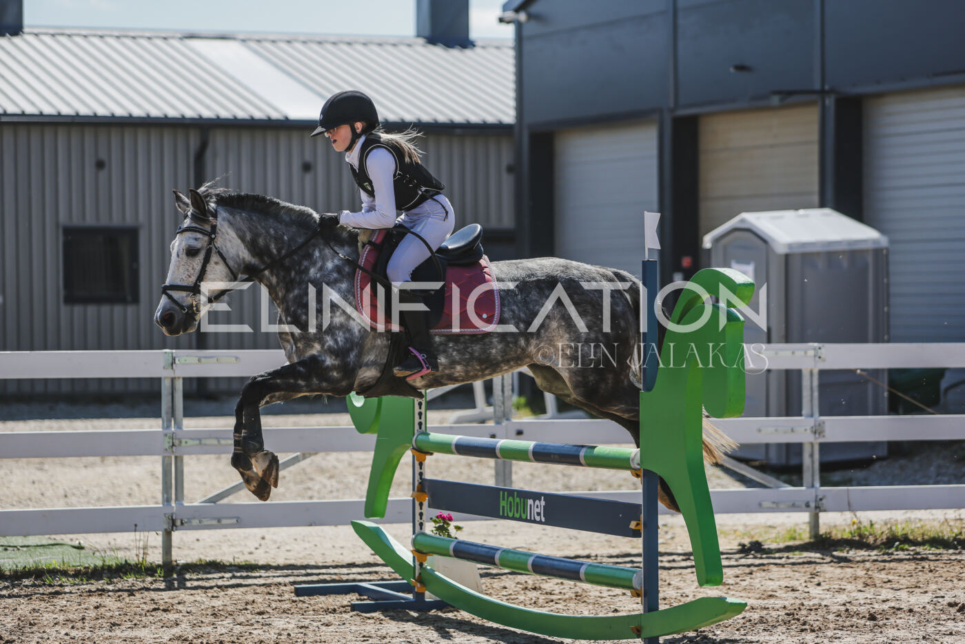 Gramina_Kevad_2026_90_290