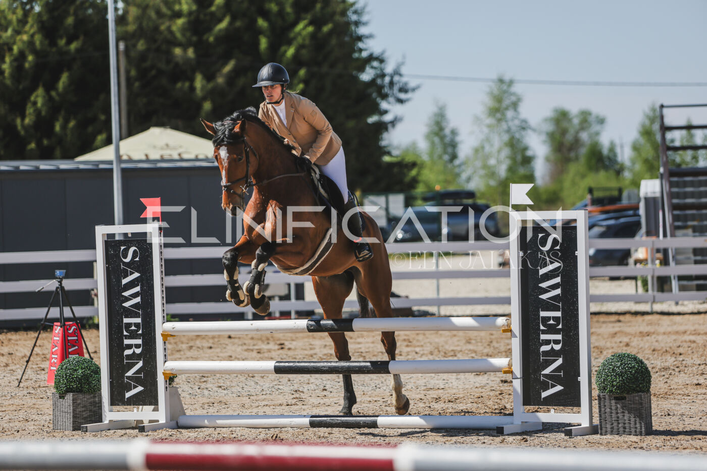 Gramina_Kevad_2026_90_292