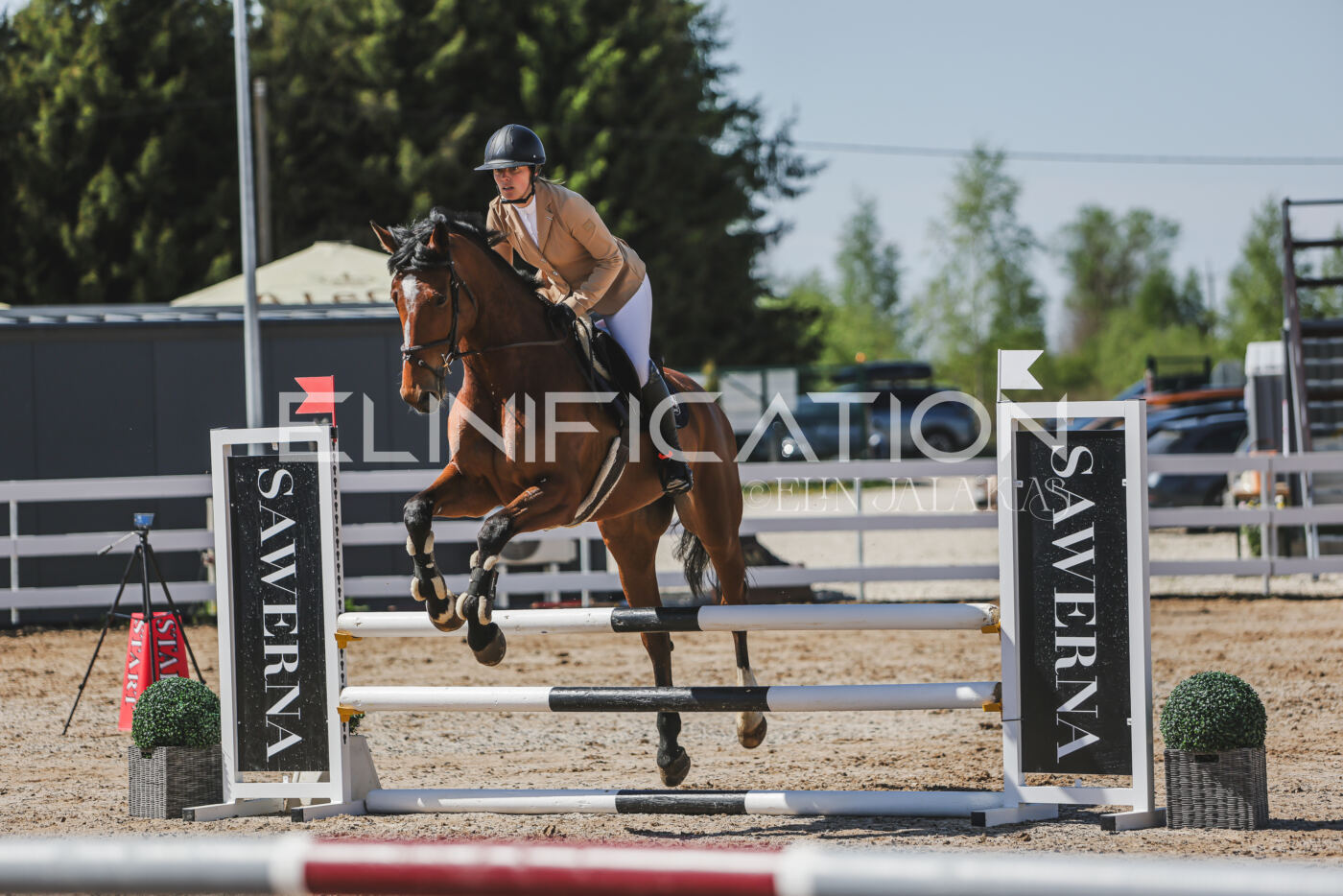 Gramina_Kevad_2026_90_293