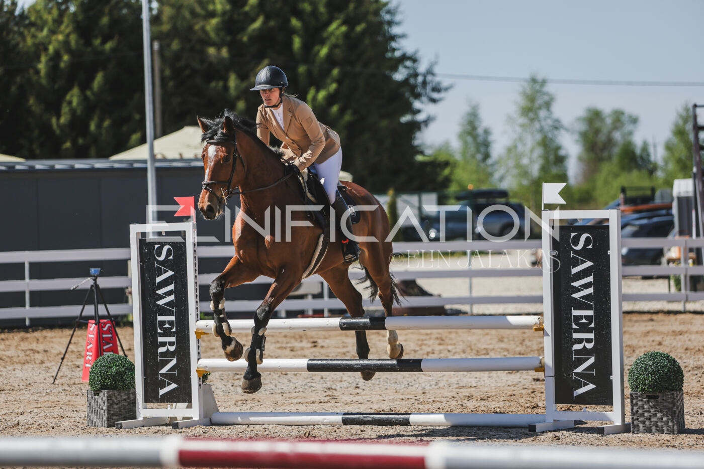 Gramina_Kevad_2026_90_294