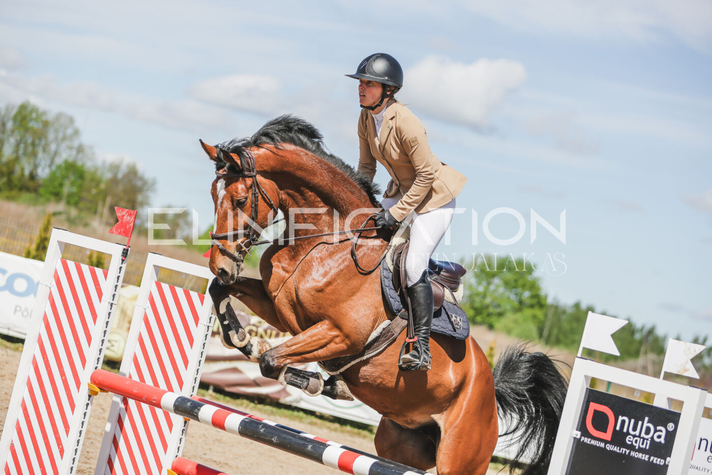 Gramina_Kevad_2026_90_295