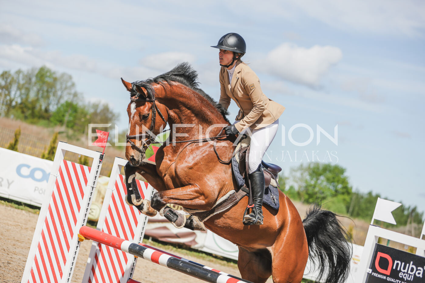 Gramina_Kevad_2026_90_296