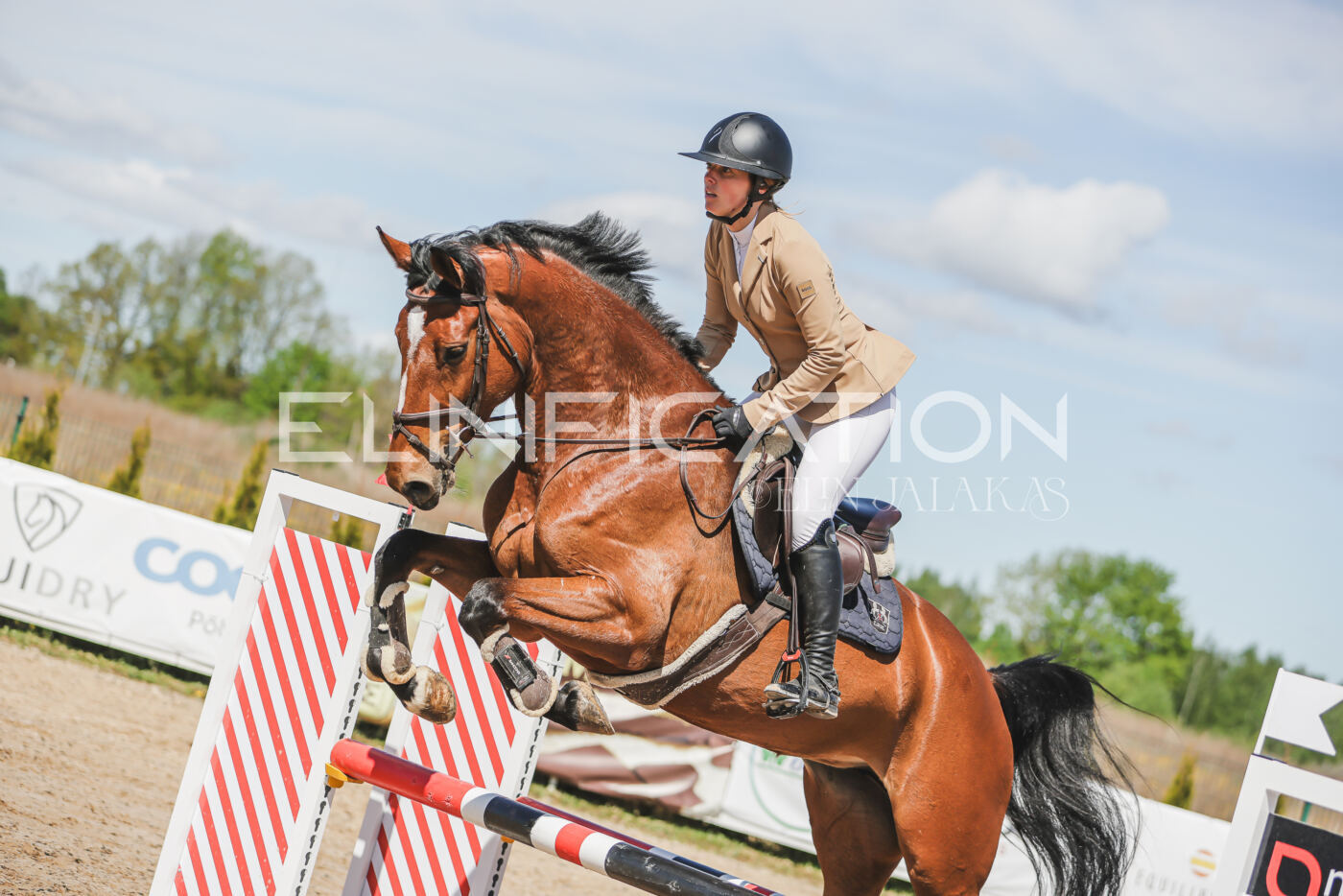 Gramina_Kevad_2026_90_297