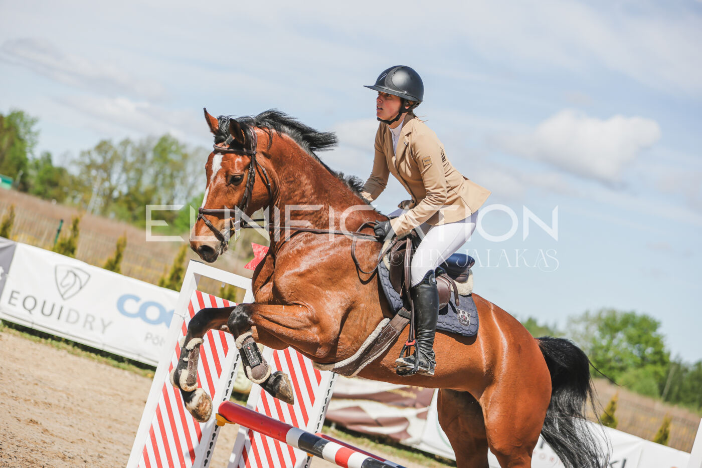 Gramina_Kevad_2026_90_298