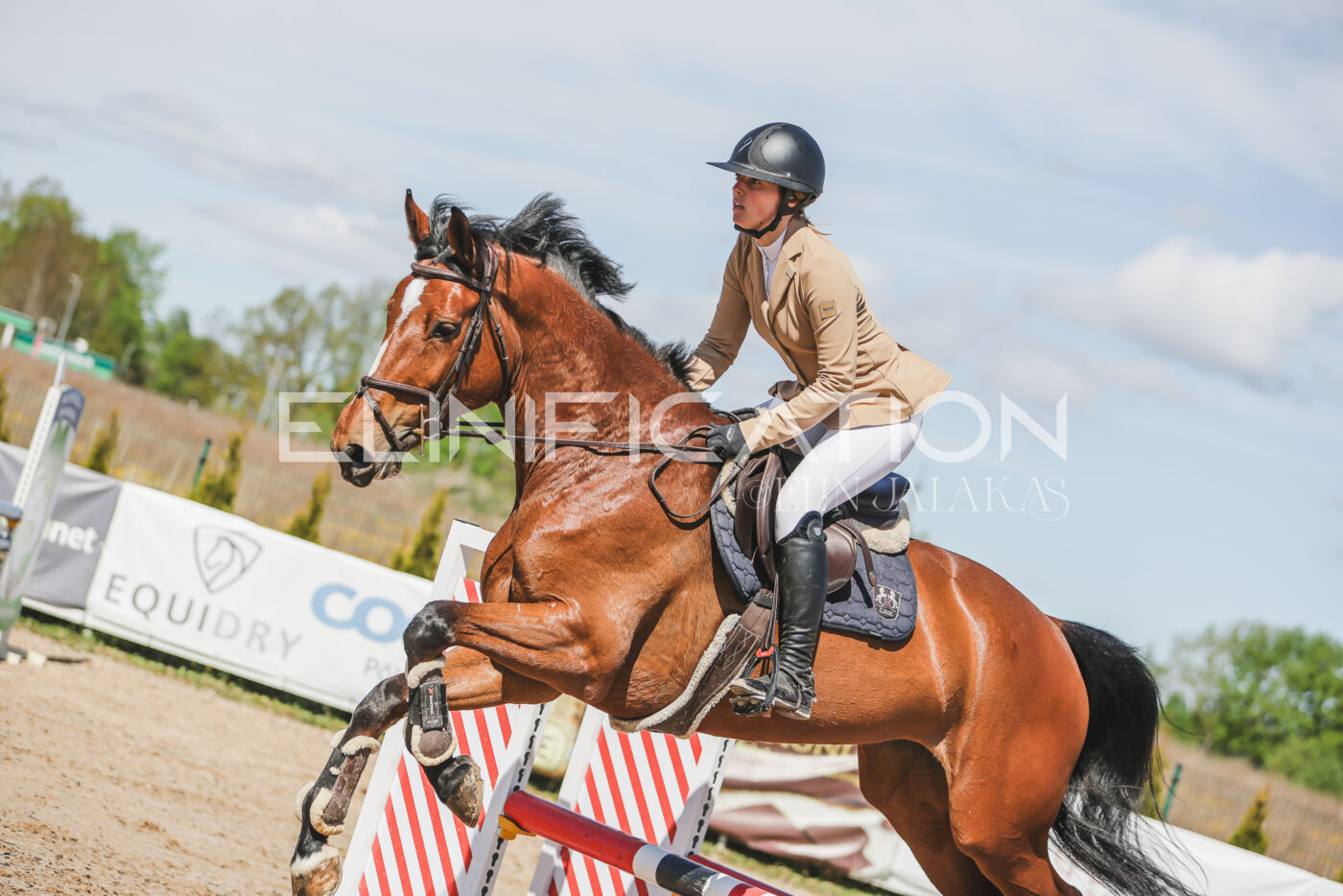 Gramina_Kevad_2026_90_299