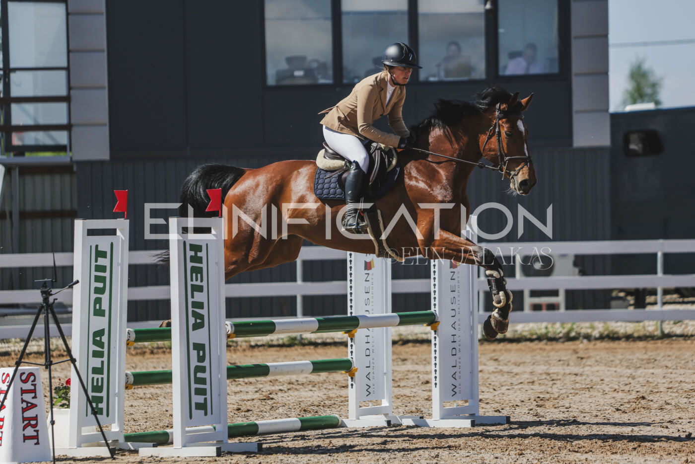 Gramina_Kevad_2026_90_302