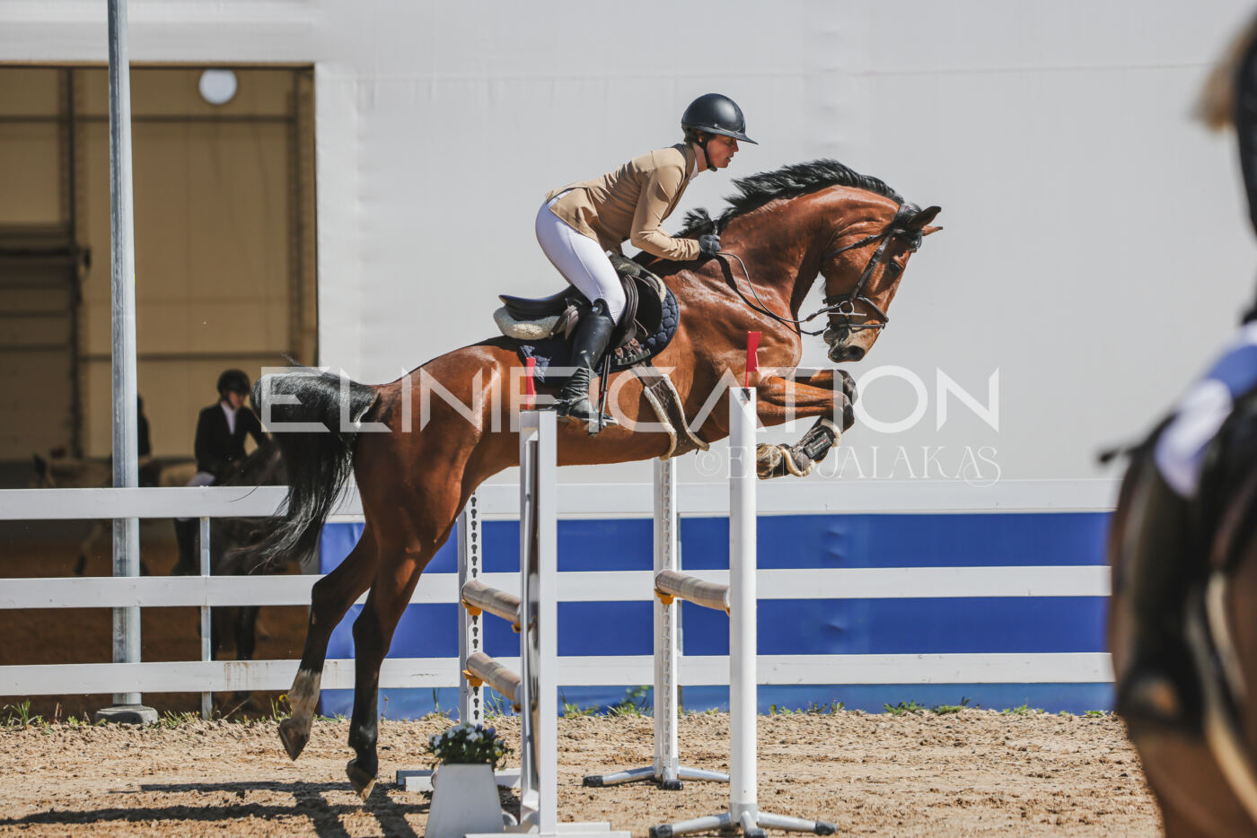 Gramina_Kevad_2026_90_306