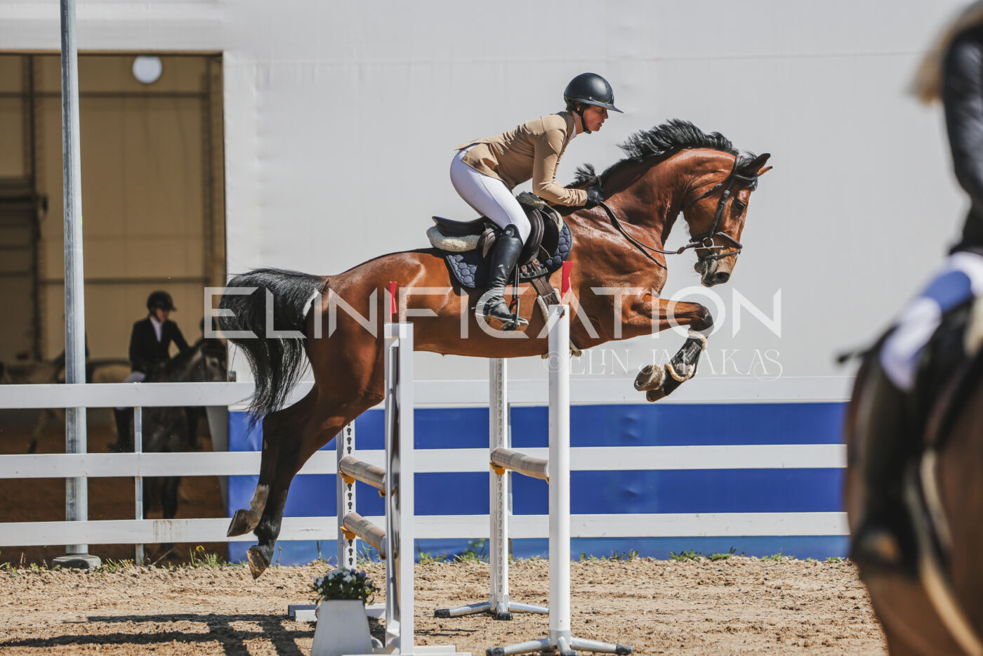 Gramina_Kevad_2026_90_307