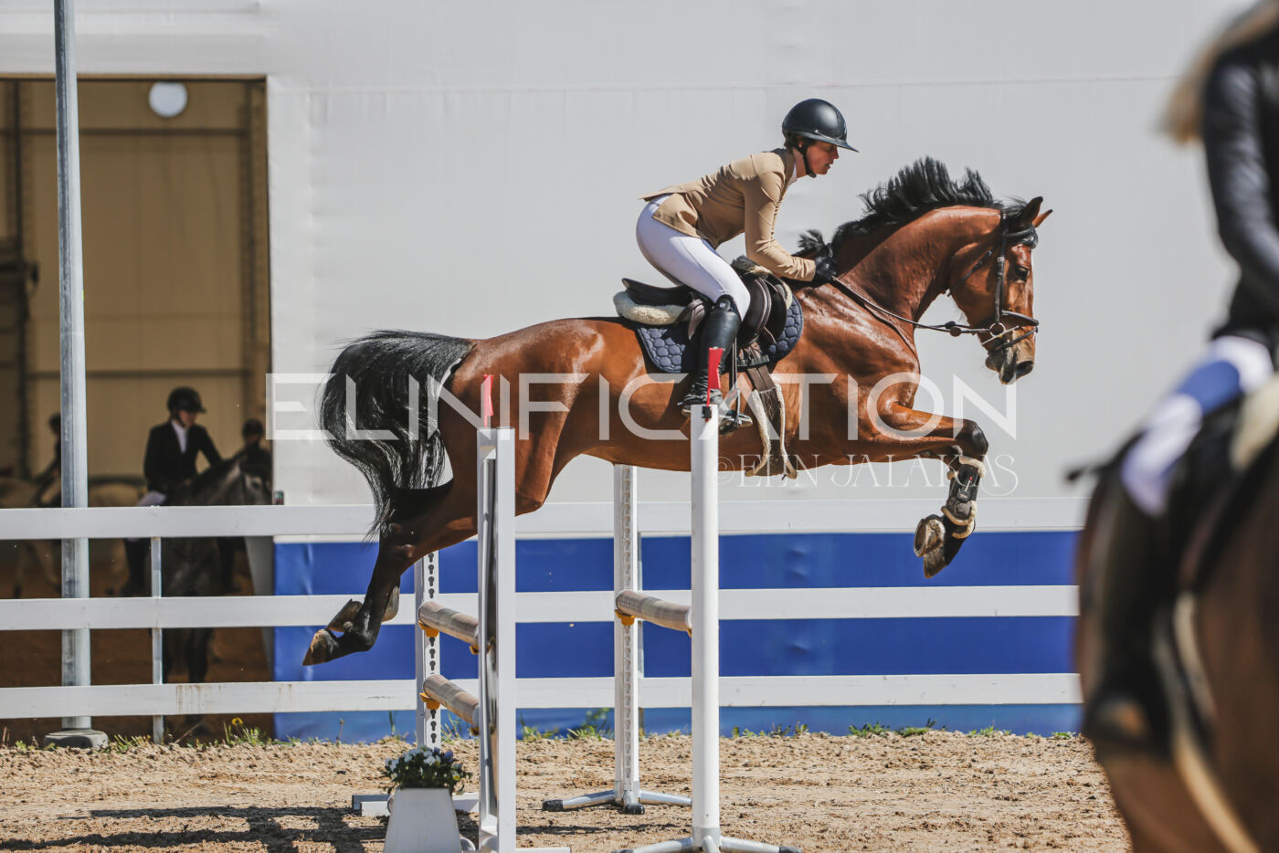 Gramina_Kevad_2026_90_308