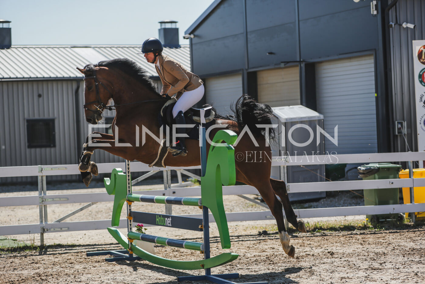 Gramina_Kevad_2026_90_310