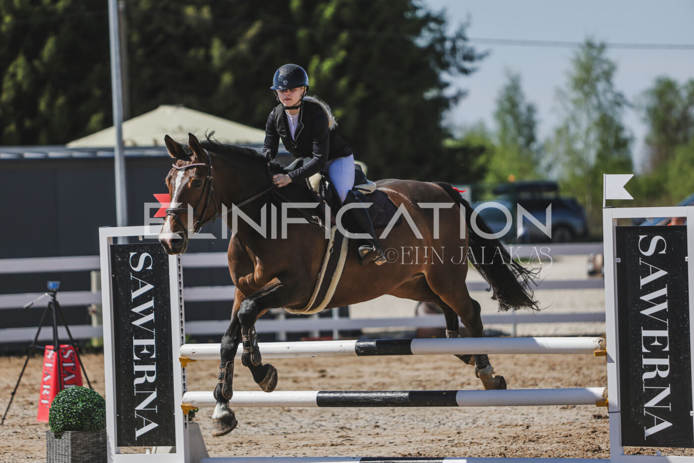 Gramina_Kevad_2026_90_316