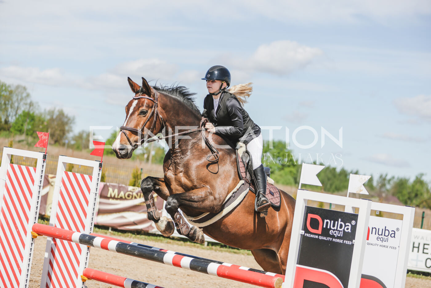 Gramina_Kevad_2026_90_317