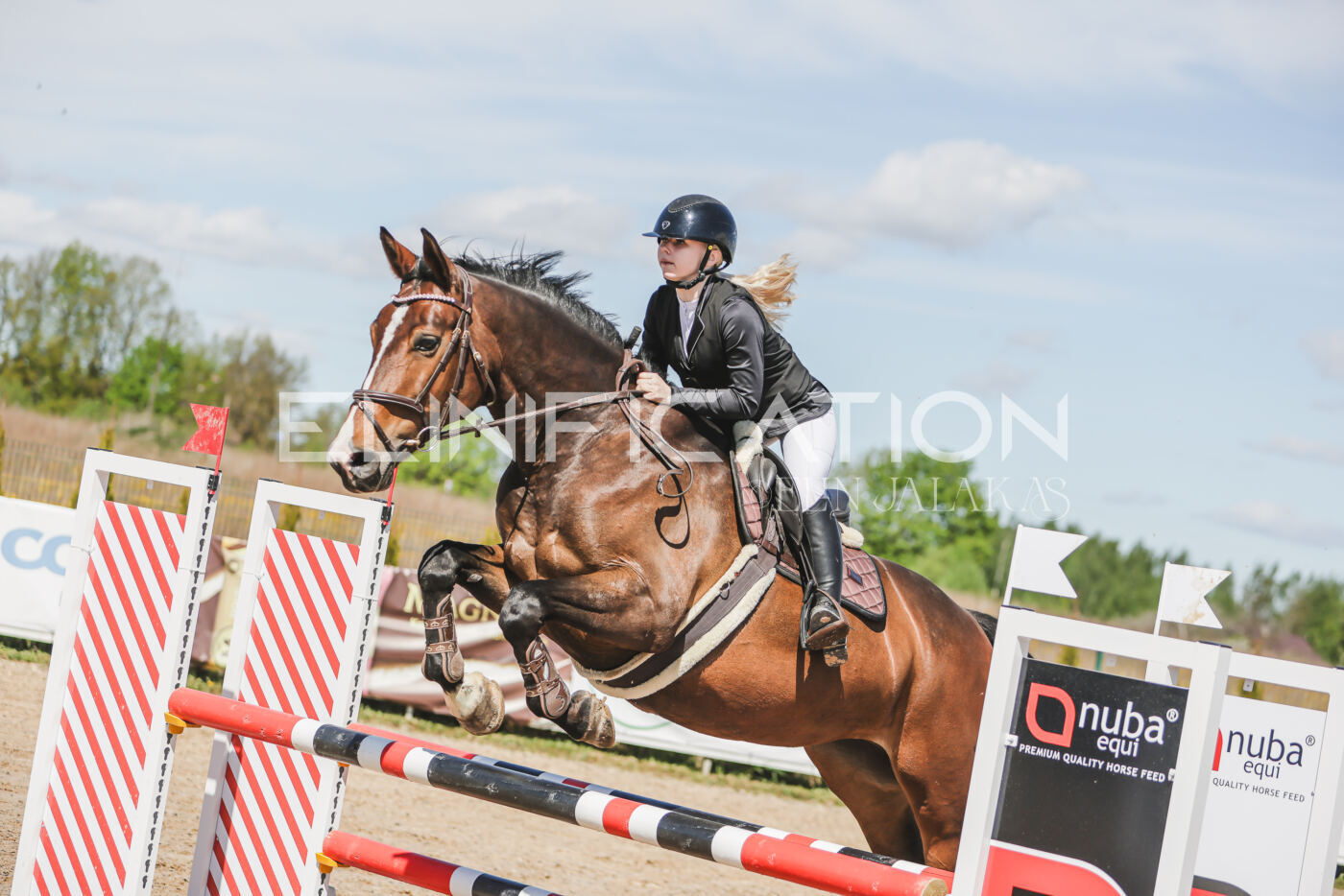 Gramina_Kevad_2026_90_318