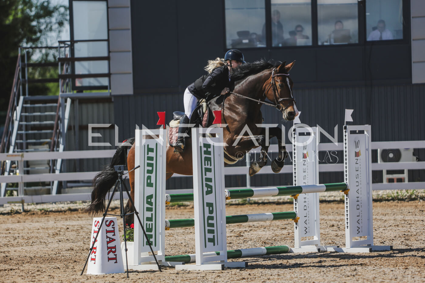 Gramina_Kevad_2026_90_322