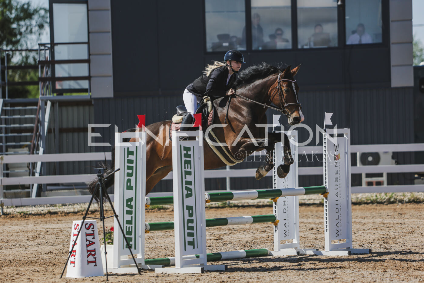 Gramina_Kevad_2026_90_323