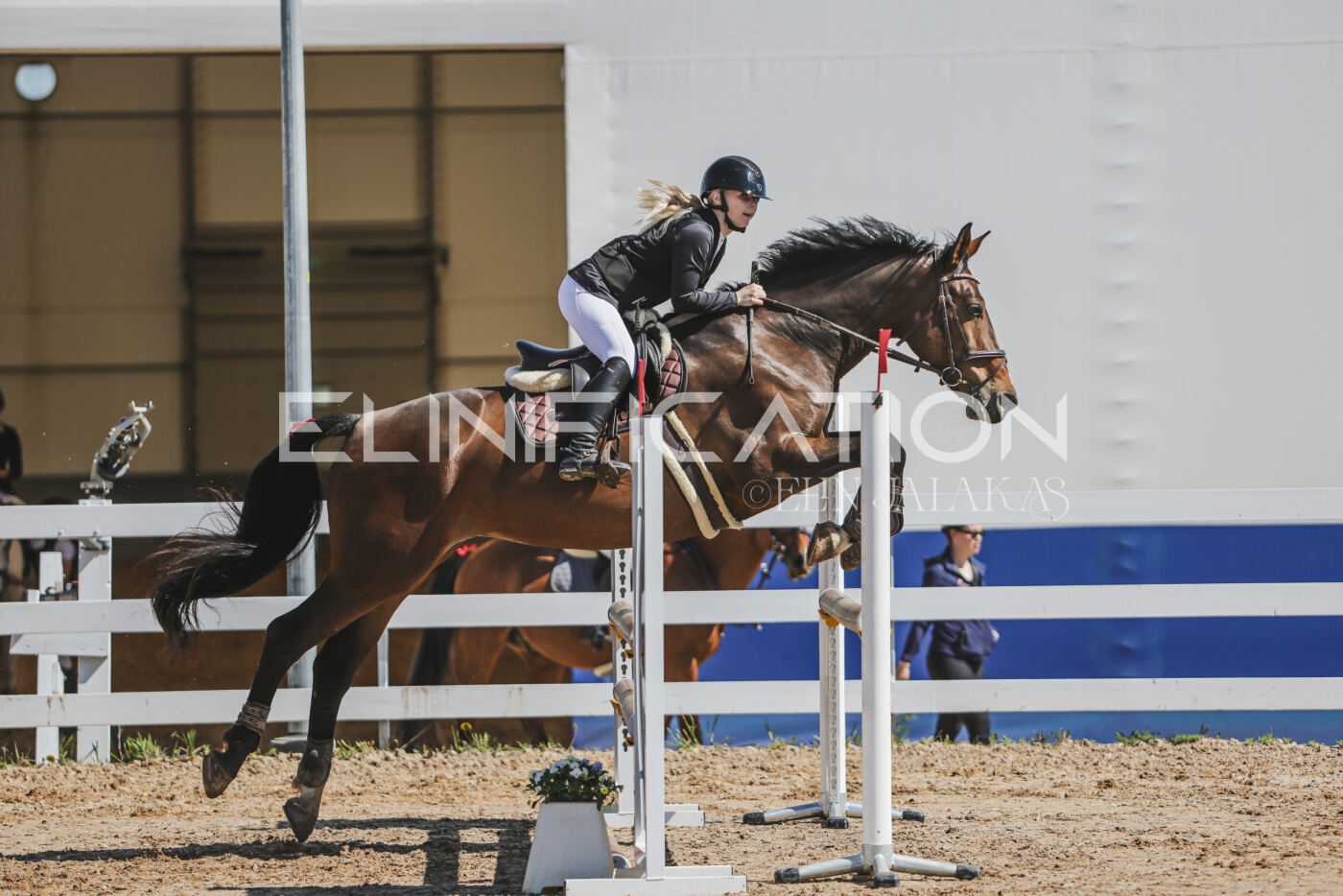 Gramina_Kevad_2026_90_329