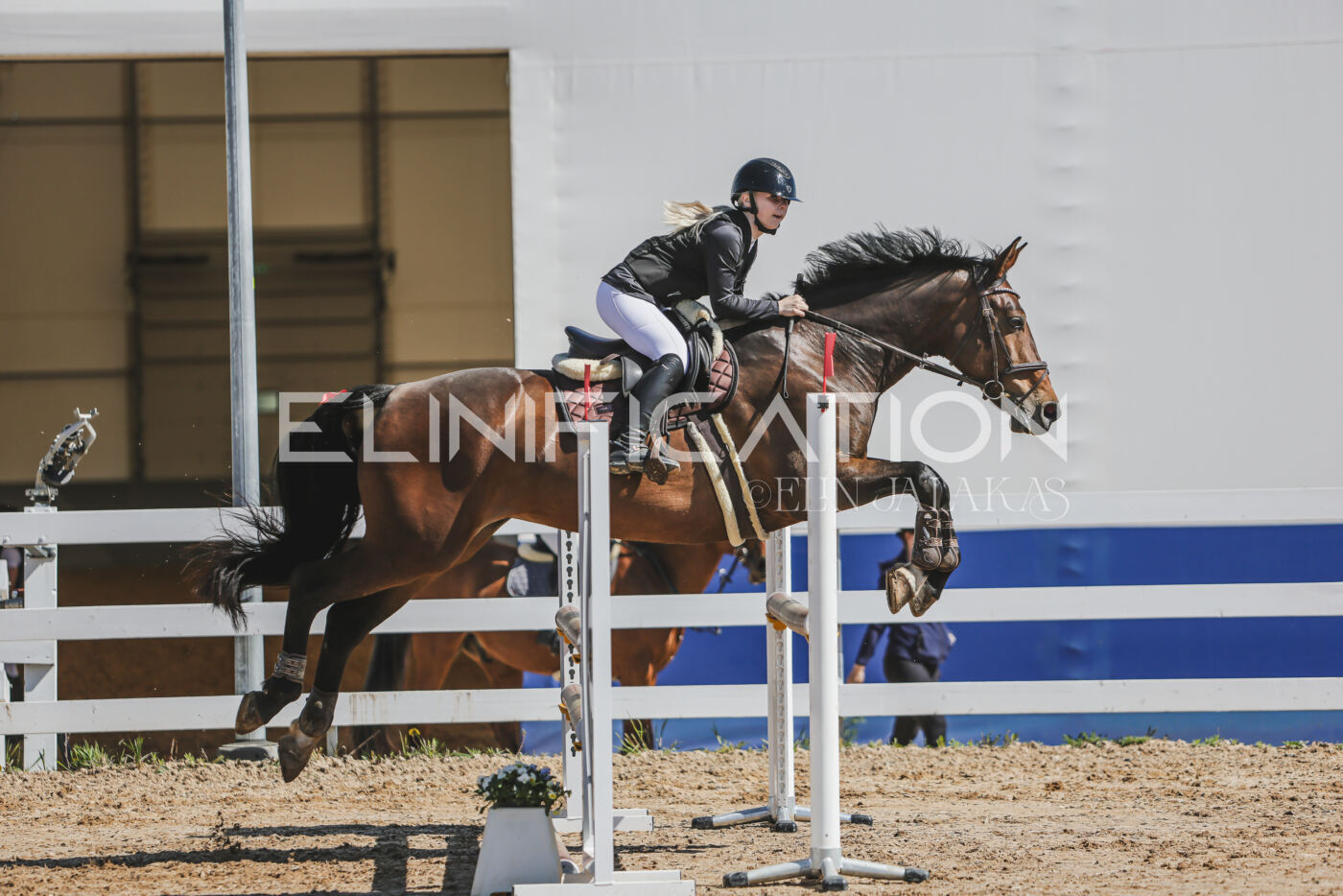 Gramina_Kevad_2026_90_330