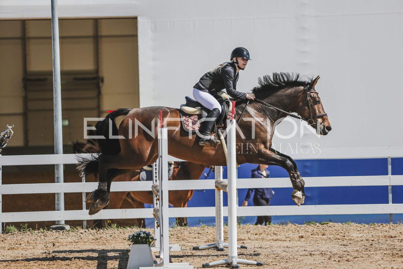 Gramina_Kevad_2026_90_331