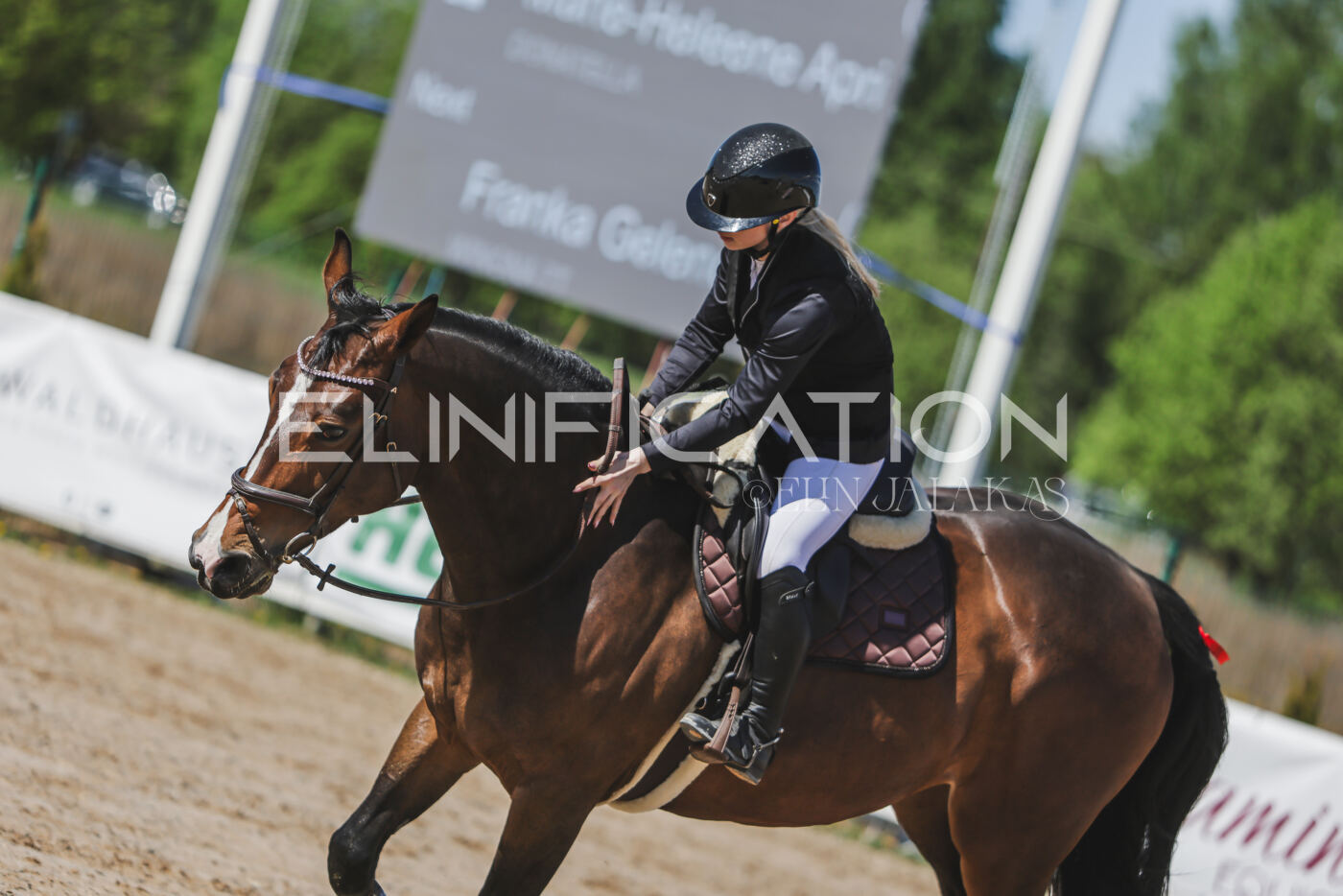 Gramina_Kevad_2026_90_335